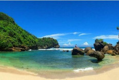 Pantai Watu Leter Malang, Keindahan Pesisir Dibalik Pohon Cemara yang Rindang