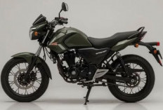 Honda Win 100 2025 Resmi Hadir, Tiga Varian Bergaya Army Green dengan Sentuhan Modern