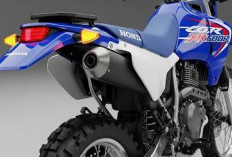 Honda XR600R 2026, Kembalinya Sang Legenda Petualang Gurun