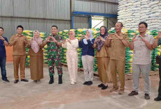 Stok Beras Bulog Aman Hingga Idul Fitri