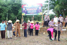Polres Bengkulu Selatan Bersama Bhayangkari Tanam Jagung Serentak 1 Desa 1 Hektar