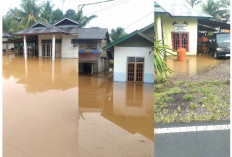 425 Lebih Rumah di Seluma Terendam Banjir, 1 Titik Jalan Tertimbun Longsor