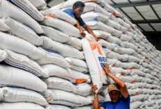 Jaga Kualitas, DPR Minta Stok Beras Jangan terlalu Lama Disimpan