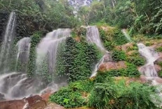 7 Air Terjun Terindah Di Jambi, Wisata Alam Yang Memanjakan Mata