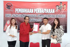 Meriani Toyota Lirik BD 1, Daftar di 3 Partai Politik