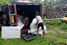 Hindari Motor, Mobil Box Terbalik