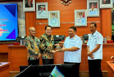 Pemda Kaur dan Pemda Muara Enim Rancang Kerja Sama 7 Aspek