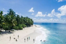 Pantai Carolina, Pantai Terindah di Sumatera Barat, Ada Spot Surfingnya 