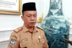 Kabar Gembira Untuk Honorer Tamatan SMA, Tahun Ini Tersedia 67 Formasi