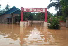 SDN 12 Seluma Terendam Banjir, Kegiatan Belajar Mengajar Terhenti