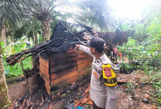 Ditinggal Ke Sungai Rumah Pasangan Lansia Ludes Terbakar