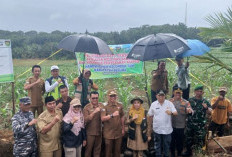 Bupati Resmikan Oplah Non Rawa Senilai Rp 9,2 Miliar