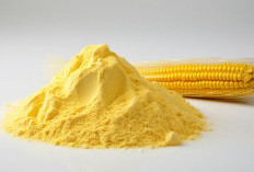 Meski Berasal dari Jagung, Tepung Jagung dan Maizena Ternyata Berbeda, Ini Cara Pembuatan dan Kandungannya