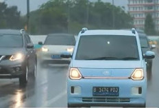 Makin Populer, Ini 5 Mobil Listrik Murah di Indonesia, Cek Daftar Harganya
