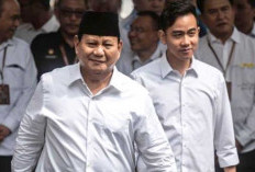 Koalisi Prabowo - Gibran di DPR Mulai Tergambar, NasDem dan PKB Merapat 