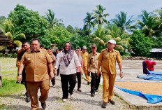 Pemkab Bengkulu Selatan Terus Mendorong Peningkatan Kualitas Produksi Sekaligus Memperkuat Branding Beras Loka