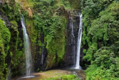 Curug Arjuno Di Garut Jawa Barat, Dikelilingi Alam Yang Indah dan Sejuk, Ini Lokasi dan Aksesnya