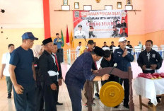 85 Pendekar Ikuti Kejuaraan Pencak Silat PSHT Bupati Seluma Cup