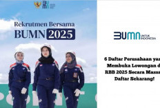 Rekrutmen Bersama BUMN 2025 Dibuka Maret! Ini Perbedaannya dengan PNS