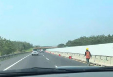 Bukan Tempat Istirahat Apalagi Jalur Cepat! Ini Fungsi Bahu Jalan Tol