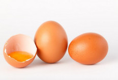 Mengapa Warna Kuning Telur Berbeda? Ini Penjelasan Nutrisinya