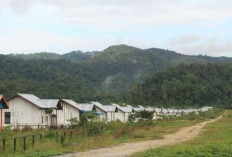 UPT Batu Ampar Punya 700 Hektar Lahan, Baru 150 Hektar Dimanfaatkan