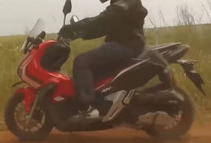 Mesin Sama Harga Beda! 8 Motor Honda Ini Wajib Dipertimbangkan Sebelum Dibeli