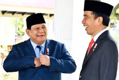 2 Jam Bertemu Prabowo Dan Gibran, Jokowi Sampaikan Pesan Penting, Salah Satunya Mengutamakan Persatuan Bangsa