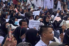 Hanya Untuk Honorer Masuk Database, PPPK Paruh Waktu Dimulai Tahun Ini