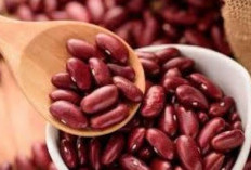 11 Manfaat Kacang Merah Bagi Kesehatan Tubuh