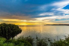 Danau Victoria, Permata Afrika yang Menyuguhkan Keindahan Alam dan Budaya