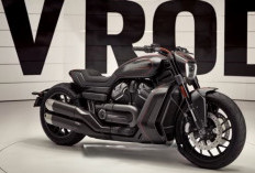 Harley-Davidson V-Rod 2025, Perpaduan Warisan dan Teknologi Modern