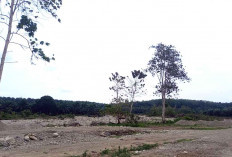 Batu di Air Kedurang Kembali Dikeruk untuk Komersil, Warga Khawatirkan Abrasi