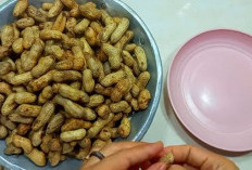 Rahasia Merebus Kacang Tanah dengan Cepat dan Lezat Tanpa Ribet, Rasakan Manfaatnya