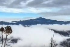 7 Gunung Tertinggi di Indonesia, Pilihan Orang Bisa Mencapai Puncak, Ini Nama Gunungnya