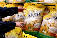 INGAT! Beras Bulog Merk SPHP Tidak  Boleh Dijual di Atas Rp57.500 per Karung