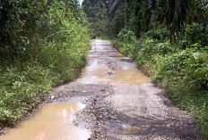 Jalan dan Jembatan di Desa Cinto Mandi Memperihatinkan