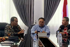 Bupati Bengkulu Selatan Terima Audiensi BPS Terkait Kesiapan Sensus Ekonomi 2026