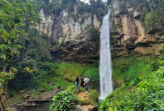 Keindahan Air Terjun Putri Malu, Tempatnya di Way Kanan Lampung, Dikelilingi Pemandangan Alam Indah