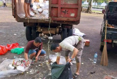 Puluhan Ton Sampah Setiap Hari, DLHK Bengkulu Selatan Butuh Penambahan Armada