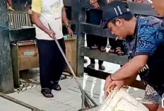 Cuaca Ekstrim Hasil Tangkapan Nelayan Turun Dratis