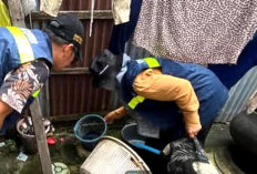 Antisipasi KLB, Petugas Survei Penyebaran Penyakit DBD