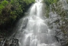 Air Terjun Cipuang, Wisata Alam Menarik di Lampung, Suasananya Sejuk dan Alami