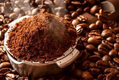 Pemkab Kaur Akan Mengembangkan Usaha Kopi Bubuk