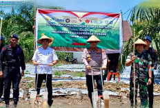 Dukung Swasembada Pangan, Gelar Tanam Jagung Serentak 