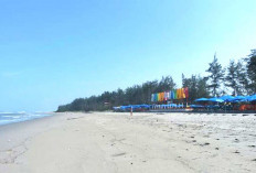 Menarik, Buka Kawasan Kuliner Halal di Pantai Panjang Bengkulu,Wisatawan Bisa Nikmati Kuliner Bengkulu