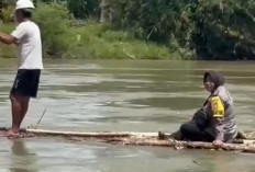 Polwan Tangguh di Balik Program Ketahanan Pangan Polri, Brigpol Fitri Terjang Sungai Tinjau Lahan Jagung