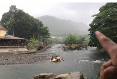 Bukit Lawang, Tempat Wisata Paling Populer Di Sumatera Utara Selain Danau Toba, Banyak Turis Asing Berkunjung