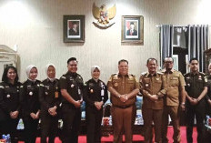 Siap Bersinergi, Bupati dan Wabup Terima Kunjungan Plt Kajari Bengkulu Selatan