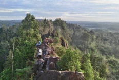 Wisata Alam Batu Dinding Di Kalimantan, Menikmati Keindahan Dari Ketinggian